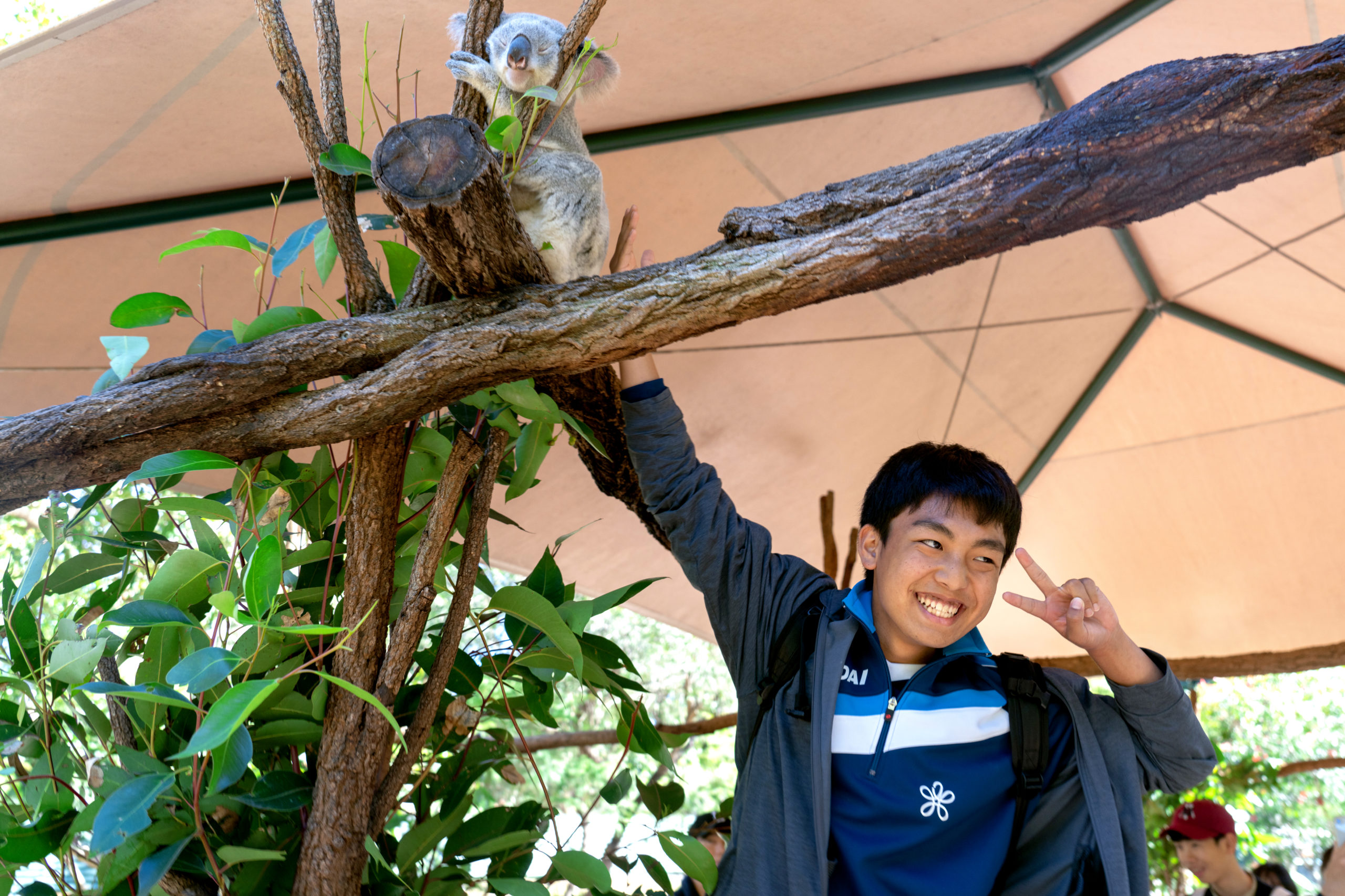 【オーストラリア】Lexis ジュニアサマーキャンプ