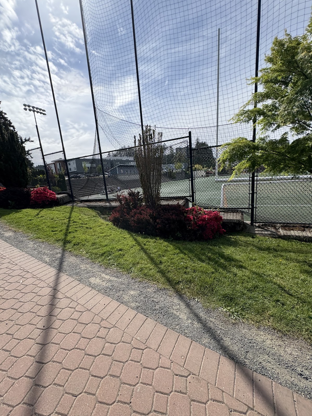 グラウンドの写真